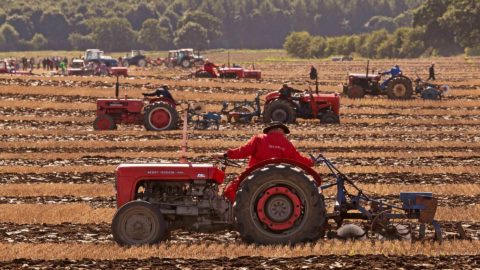 ploughing-championships