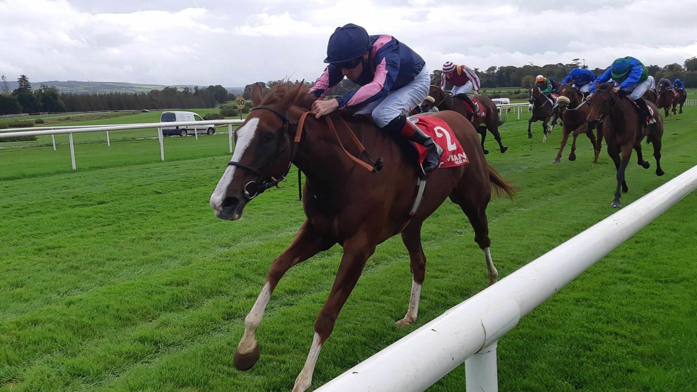 racing-gowran-park-01